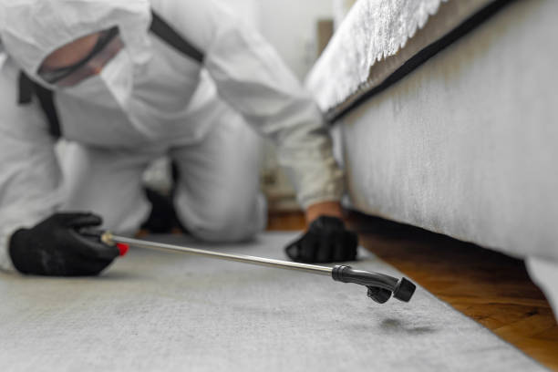 Professional Termite Control technician working in East Islip, NY