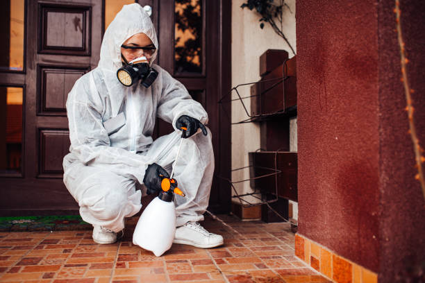 Reliable Termite Control contractor in East Islip, NY by Nex Pest Control