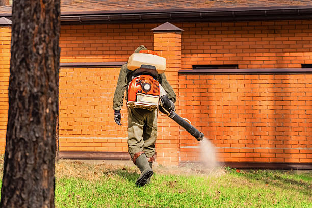 Trusted Mosquito Control service in East Islip, NY - Nex Pest Control